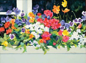 Window Box